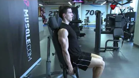 Seated Dumbbell Hammer Curl