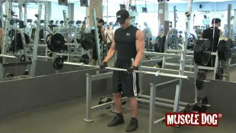Reverse Curl