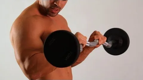 Reverse Curl
